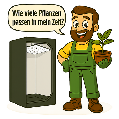 Gärtner Daniel steht vor einer geöffneten Growbox mit Pflanzen in Töpfen und zeigt mit einer Hand auf das Zelt – eine Sprechblase fragt: Wie viele Pflanzen passen in mein Zelt?