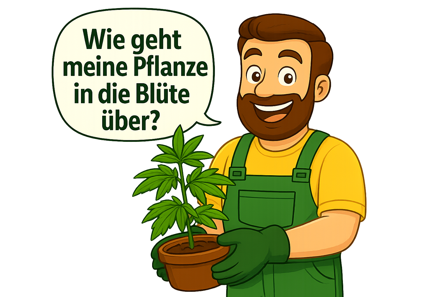 Daniel hält eine grüne Topfpflanze in den Händen und stellt sich die Frage, wann der richtige Zeitpunkt für die Blütephase ist.