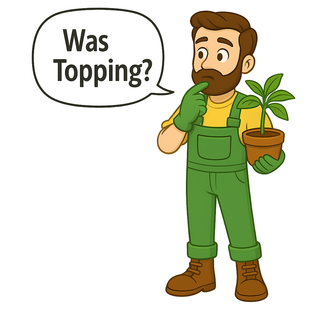 Lerne, wie und wann du deine Cannabispflanzen richtig toppst, um buschigere Pflanzen und höhere Erträge zu erzielen. Alle wichtigen Tipps und Tricks jetzt lesen!