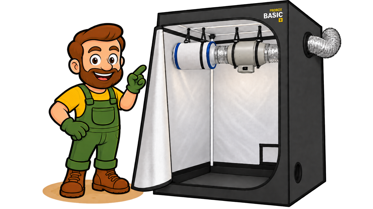 Gärtner Daniel zeigt auf eine Growbox mit Aktivkohlefilter, Abluftventilator und Abluftschlauch.