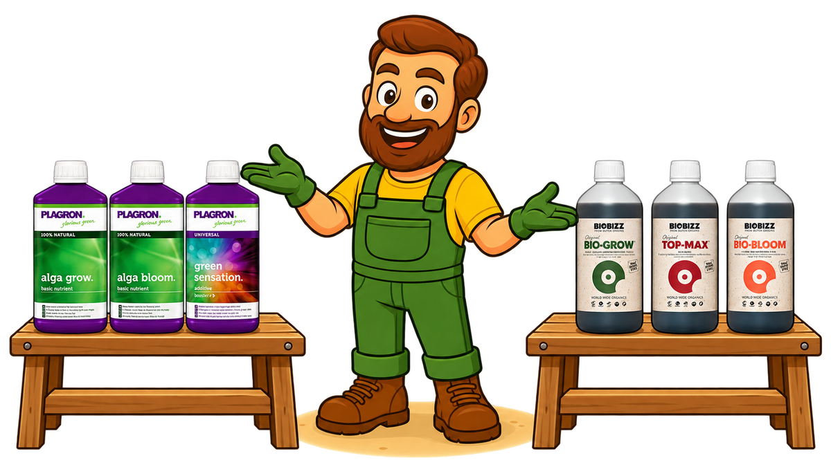 Gärtner Daniel vergleicht drei Plagron-Dünger mit Bio-Grow, Top-Max und Bio-Bloom von BioBizz auf zwei Produkttischen.