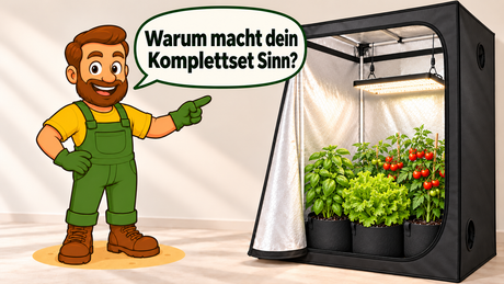 Illustration eines Gärtners, der auf eine Growbox mit LED-Lampe, Kräutern, Salat und Tomaten zeigt