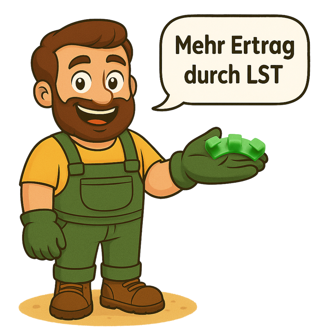 LST: Sanft biegen, mehr Licht, mehr Buds – perfekt für buschiges Wachstum im Growzelt.