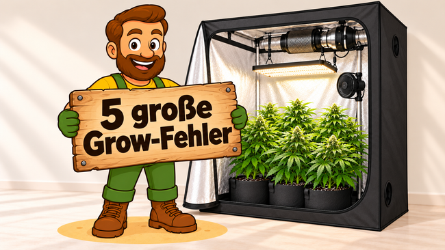 Grow Tipps: 5 wichtige Tipps für Anfänger