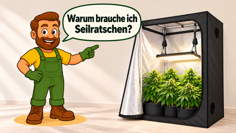 Warum Seilratschen sinnvoll sind