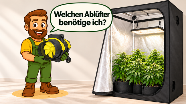 Welche Abluftleistung für Growbox?