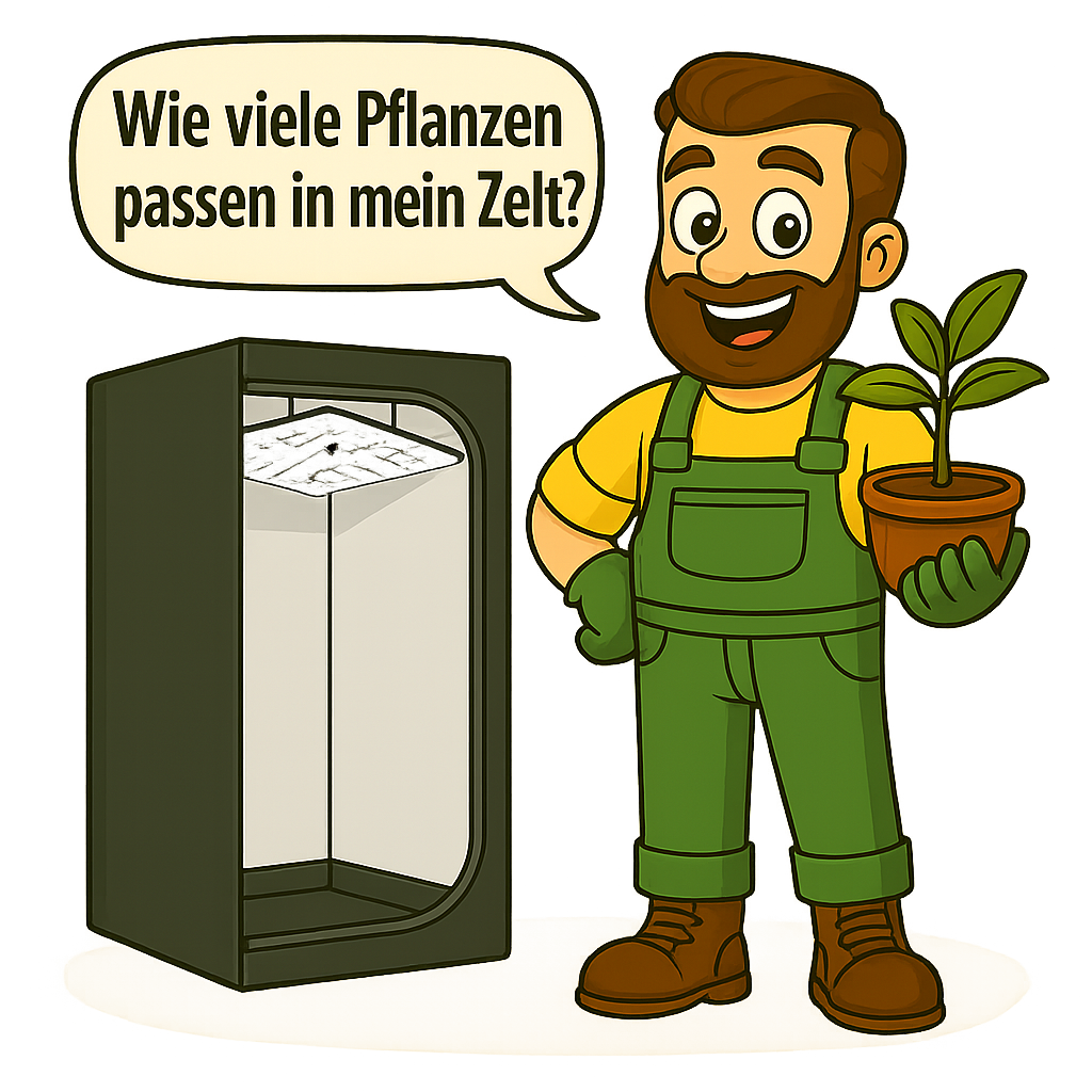 Gärtner Daniel steht vor einer geöffneten Growbox mit Pflanzen in Töpfen und zeigt mit einer Hand auf das Zelt – eine Sprechblase fragt: Wie viele Pflanzen passen in mein Zelt?