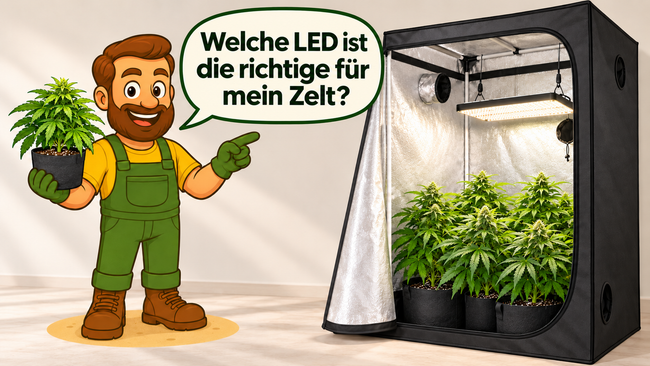 Welche LED für meine Growbox?
