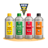 Hesi