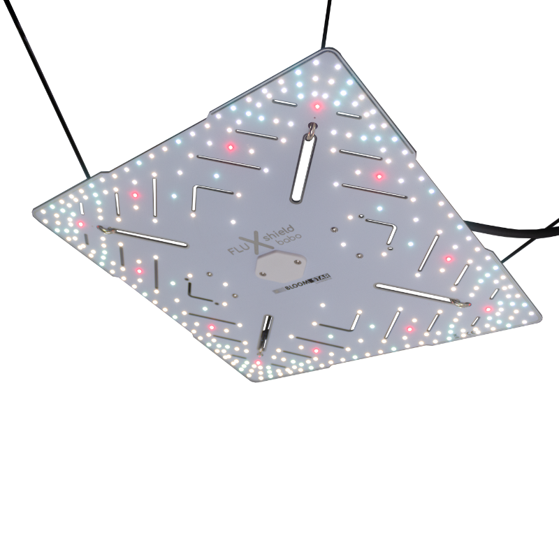 LED Grow Lampe für 80x80 Zelt | Effiziente LED Pflanzenbeleuchtung