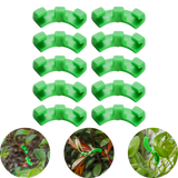 Low Stress Training Clips für Cannabispflanzen – Fördert gesundes Wachstum und gleichmäßige Wuchsrichtung.
