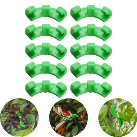 Low Stress Training Clips für Cannabispflanzen – Fördert gesundes Wachstum und gleichmäßige Wuchsrichtung.