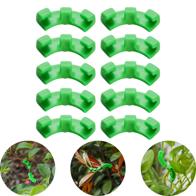Low Stress Training Clips für Cannabispflanzen – Fördert gesundes Wachstum und gleichmäßige Wuchsrichtung.