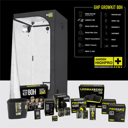 Growbox Komplettset 80x80x180 cm aufgebaut – Frontansicht