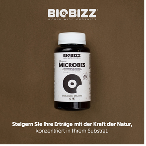Produktbild von Biobizz Microbes 150 g auf braunem Hintergrund mit dem Slogan „Steigern Sie Ihre Erträge mit der Kraft der Natur