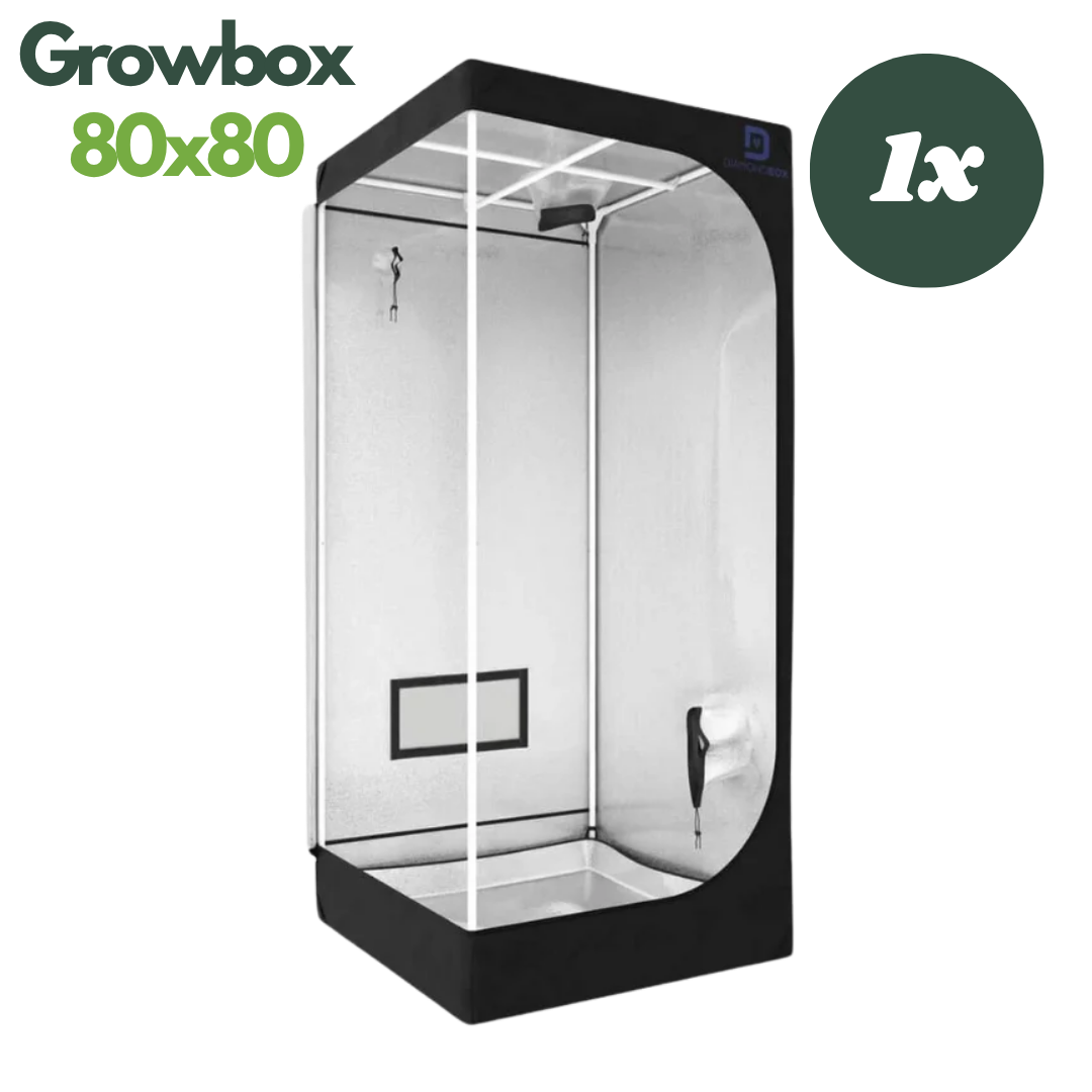 DiamondBox Silver Line SL80 Growzelt geöffnet – Innenansicht mit reflektierender Mylar-Beschichtung (80x80x180 cm)