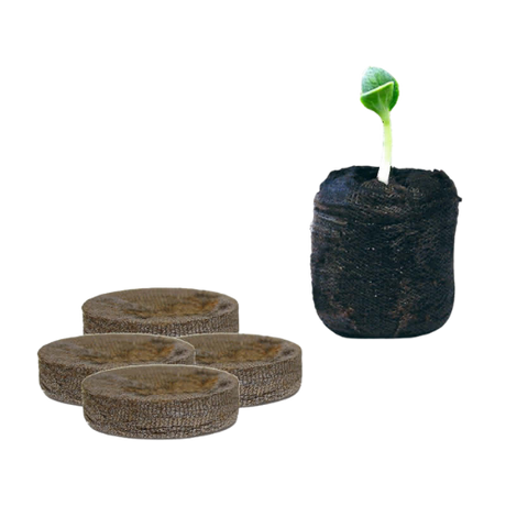 Jiffy Torfquelltabs im trockenen und gequollenen Zustand, ideal zum Einsetzen von Samen