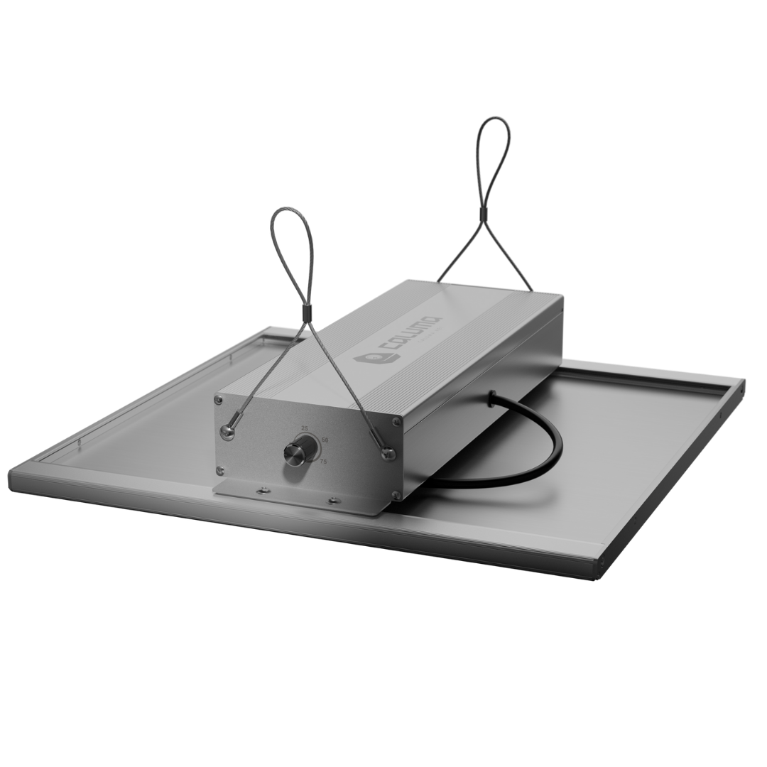 Rückansicht der Caluma LED Force 150W – Aluminiumgehäuse mit Kabel und Aufhängung