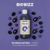 Bio·Up mit Beeren – organischer pH-Regulator für Pflanzen