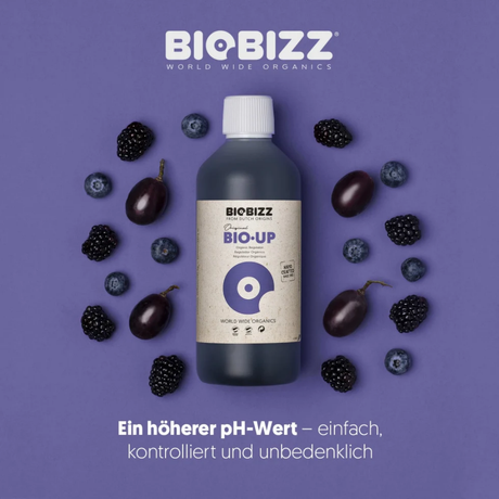 Bio·Up mit Beeren – organischer pH-Regulator für Pflanzen