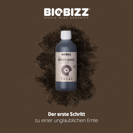 BioBizz Root Juice Wachstum