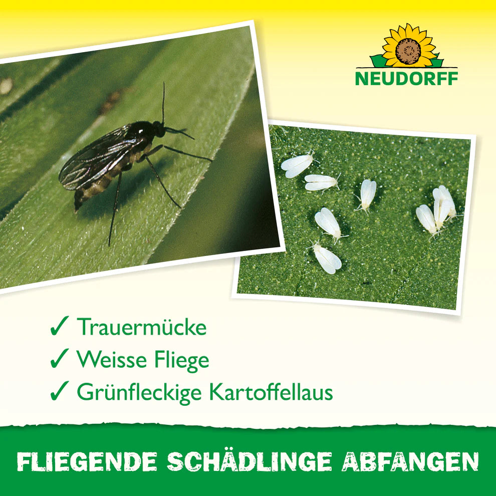 Trauermücke, Weiße Fliege und grünfleckige Kartoffellaus als Zielinsekten der Gelb-Sticker von Neudorff