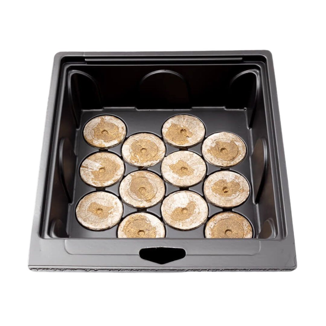 Plagron Seedbox Starterset – Keimbox mit 12 Torfquelltöpfen & Seedbooster