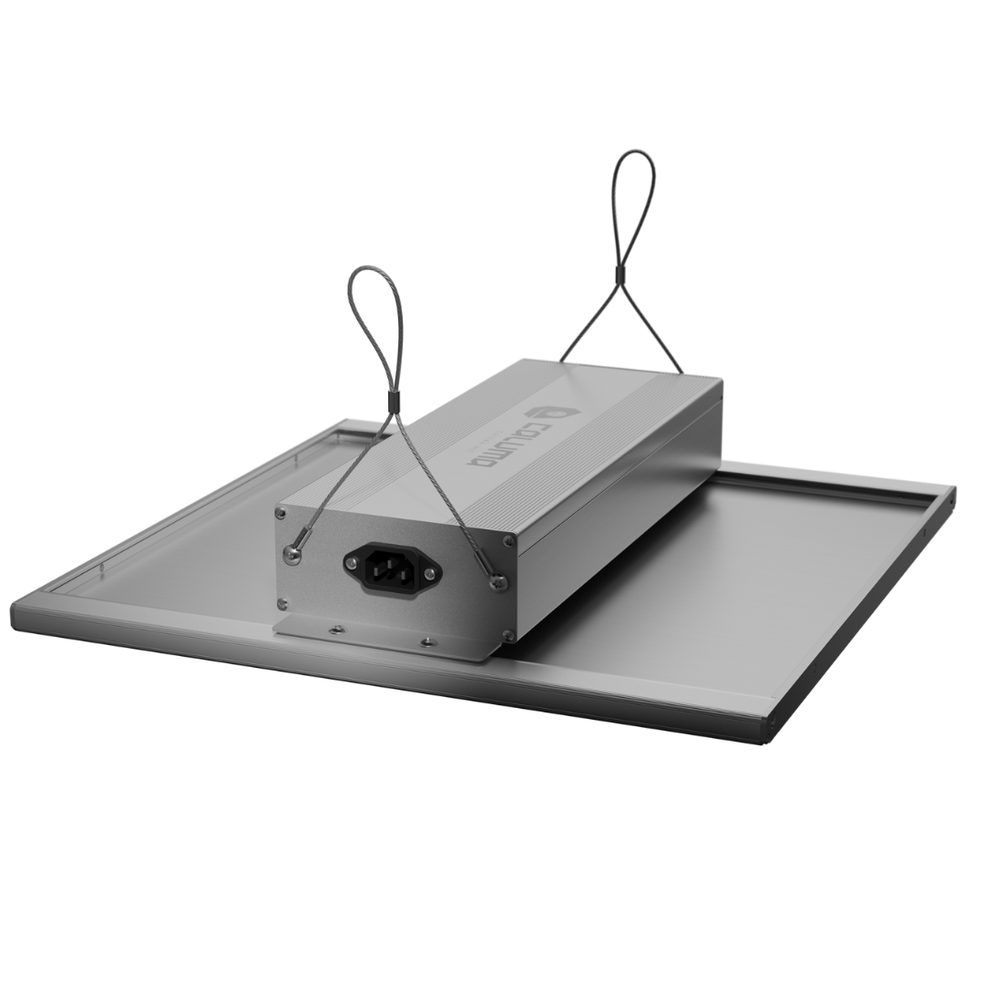 Grow-LED Caluma Force 150W – Anschlussmodul mit Netzkabel und Aufhängung von hinten