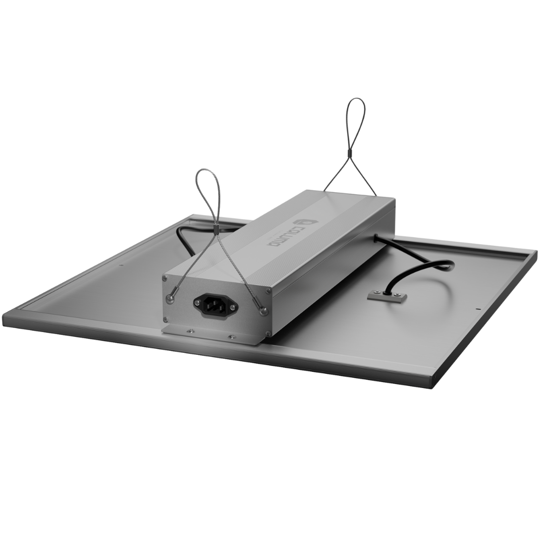 Caluma LED Force 240W – rückwärtige Ansicht mit Stromanschlussmodul