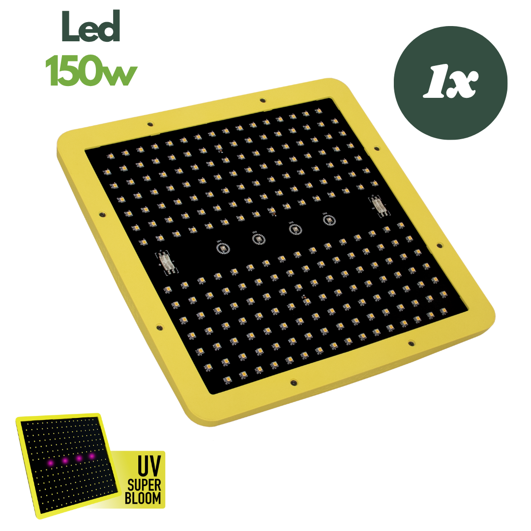 LEDMAXPRO+ 150W UV Growlampe mit 224 Samsung LEDs – UV Super Bloom Panel für 80x80 cm Fläche