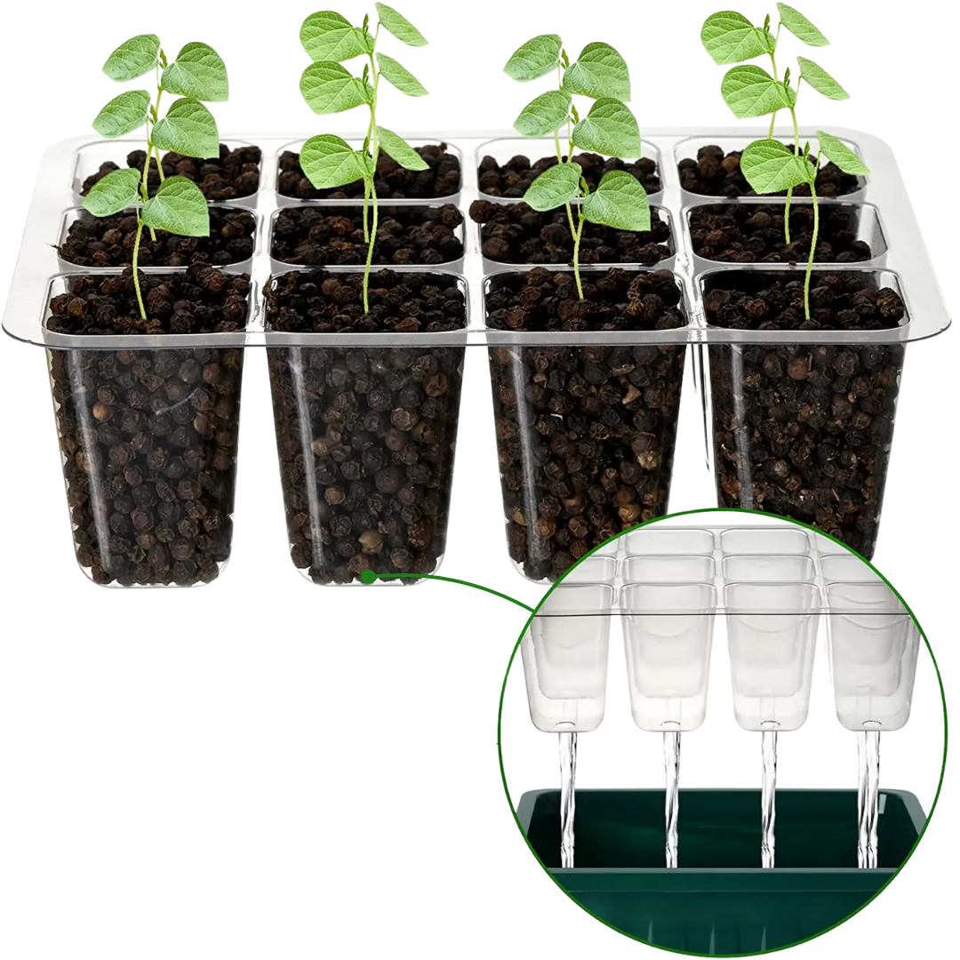 Unterseite des Mini-Gewächshauses mit Wasserablauflöchern für überschüssiges Wasser