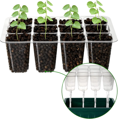 Unterseite des Mini-Gewächshauses mit Wasserablauflöchern für überschüssiges Wasser