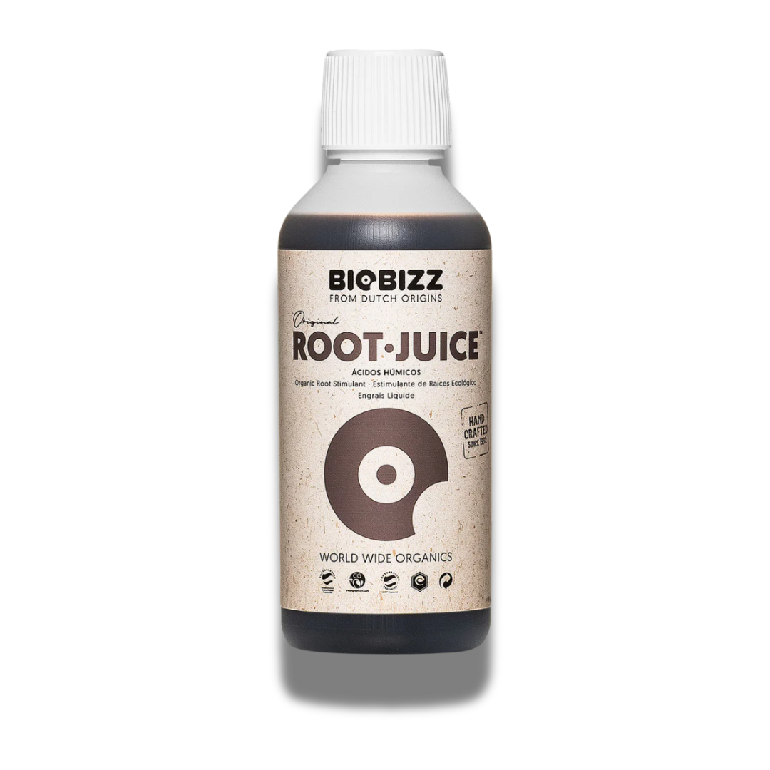 BioBizz Root Juice Wachstum