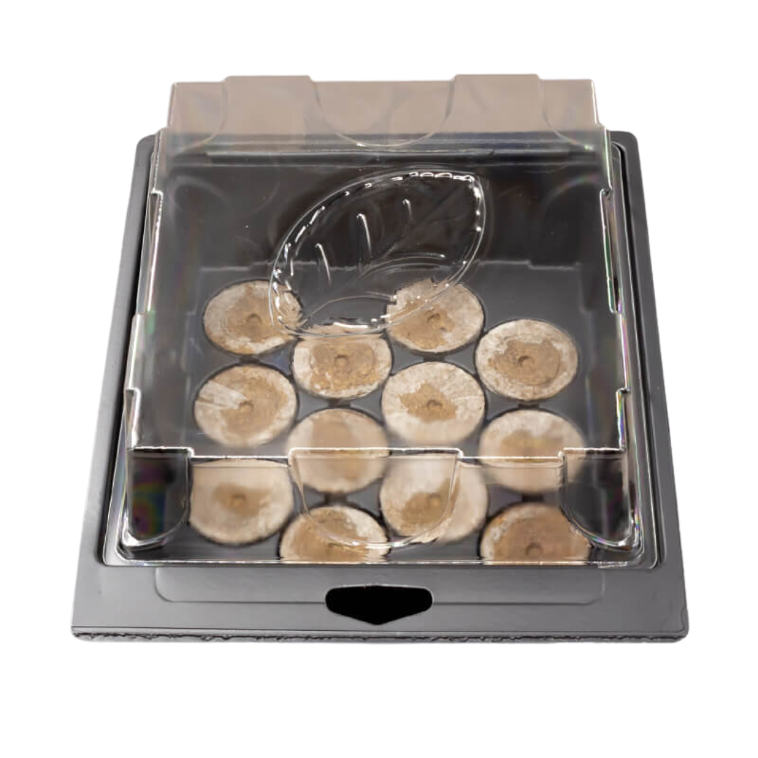 Plagron Seedbox Starterset – Keimbox mit 12 Torfquelltöpfen & Seedbooster
