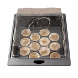 Plagron Seedbox Starterset – Keimbox mit 12 Torfquelltöpfen & Seedbooster