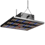Caluma LED Force 75W – leuchtende LEDs in Rot, Blau und Weiß für Pflanzenwachstum und Blüte