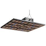 Frontansicht der Caluma LED Force 240W – Kombination aus weißem, rotem und blauem Licht