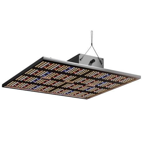 Frontansicht der Caluma LED Force 240W – Kombination aus weißem, rotem und blauem Licht