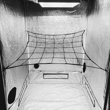 60x60 cm Trellis-Netting – Langlebiges elastisches Nylonnetz für effektive Unterstützung und maximales Platzmanagement in der Growbox.