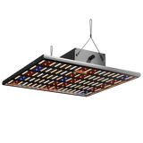Leuchtende LED-Panels der Caluma Force 150W – LED-Mix aus Weiß, Blau und Rot für Pflanzenwachstum