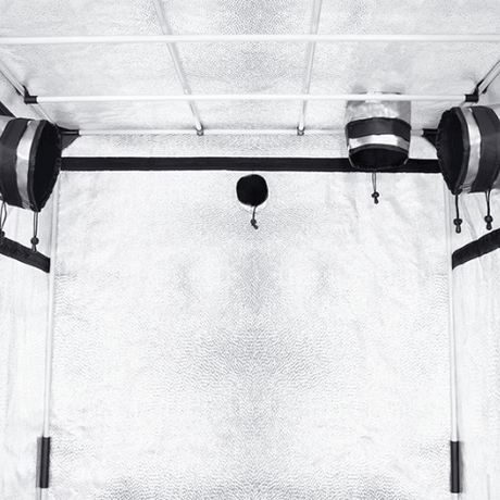 Probox Basic 100 – Perfekte Growbox für Indoor-Pflanzenzucht