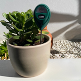 Bodenfeuchtigkeitsmesser von Meliflor im Blumentopf zur Kontrolle der Pflanzenbewässerung