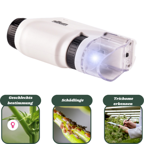 Mini-Mikroskop zur Trichomenanalyse und Geschlechtsbestimmung von Pflanzen.