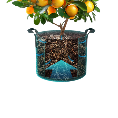 Darstellung des optimalen Wurzelwachstums durch atmungsaktives Material im Stofftopf