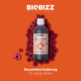 BioBizz Bio·Bloom Blütendünger – organischer Flüssigdünger für die Blütephase der Cannabispflanze, sorgt für üppige Blüten und kräftige Fruchtbildung