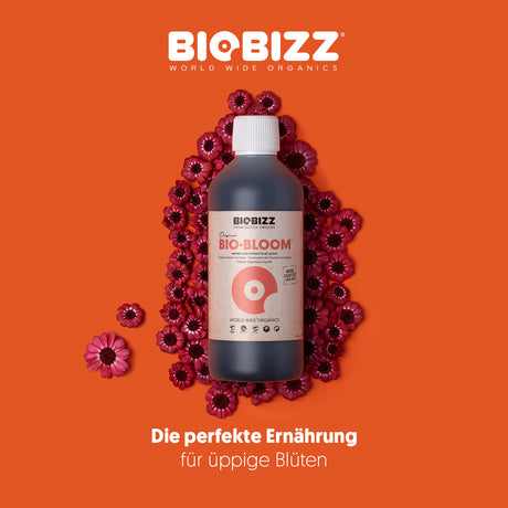 BioBizz Bio·Bloom Blütendünger – organischer Flüssigdünger für die Blütephase der Cannabispflanze, sorgt für üppige Blüten und kräftige Fruchtbildung