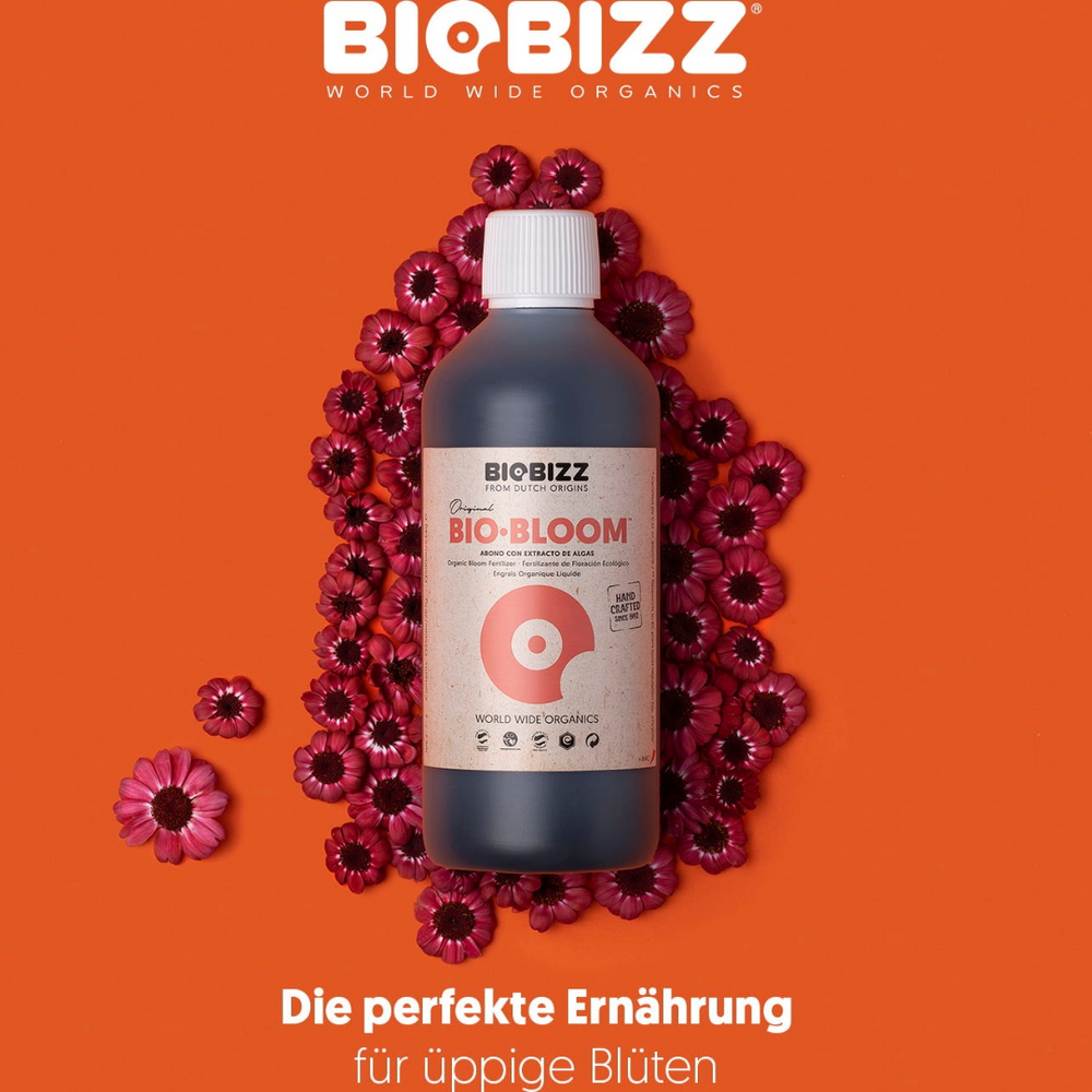 BioBizz Bio·Bloom Blütendünger – organischer Flüssigdünger für die Blütephase der Cannabispflanze, sorgt für üppige Blüten und kräftige Fruchtbildung