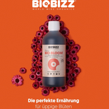 BioBizz Bio·Bloom Blütendünger – organischer Flüssigdünger für die Blütephase der Cannabispflanze, sorgt für üppige Blüten und kräftige Fruchtbildung