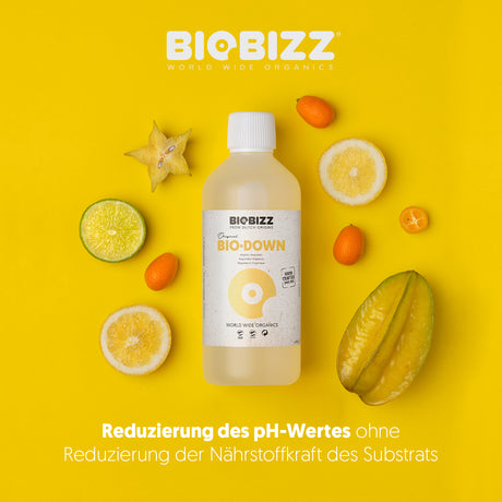 BioBizz Bio·Down mit natürlichen Zitronensäuren zur pH-Wert-Reduzierung ohne Nährstoffverlust.