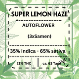Super Lemon Haze Automatic – Sativa-dominante Cannabissamen (65 % Sativa), 9 Wochen Blütezeit, hoher THC-Gehalt (21 %), für frische Zitrusaromen und ein klares High.